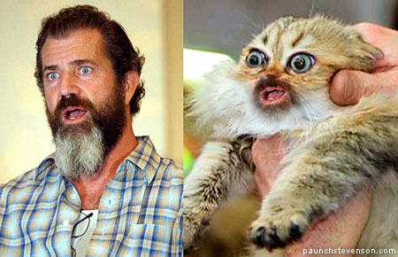 Mel Gibson and his cat